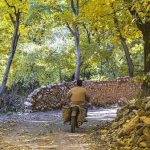 تور روستای وفس