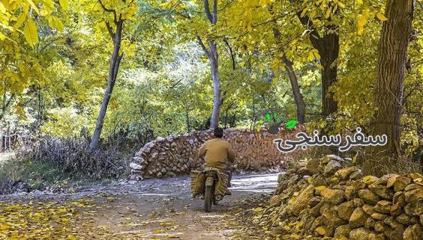 تور روستای وفس