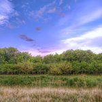 تور گشت و گذار در بوانات فارس