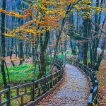 تور پائیزی گرگان با قطار