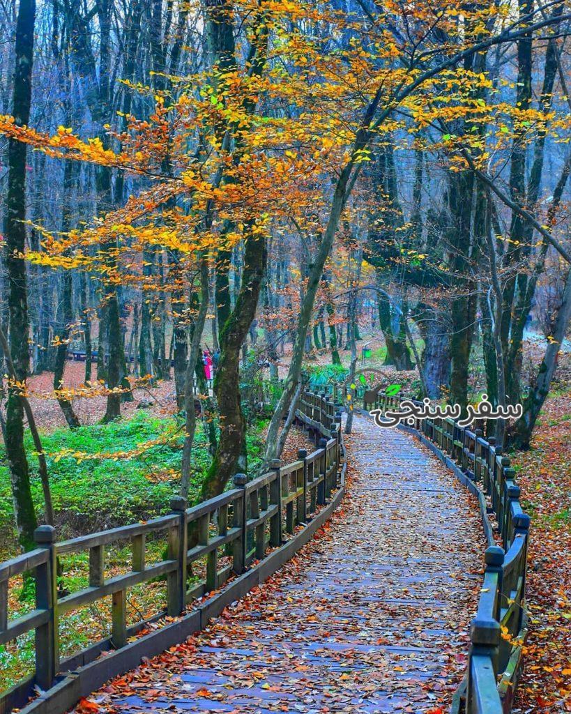 تور پائیزی گرگان با قطار