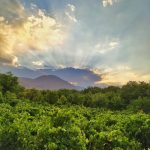 تور گشت و گذار در بوانات فارس