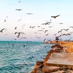 تور 5 روزه بوشهر