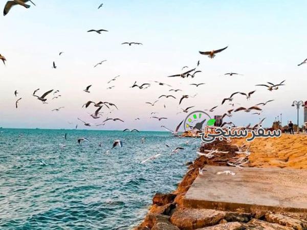 تور 5 روزه بوشهر