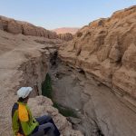 تور 5 روزه طبس(سرزمین عجایب)