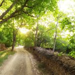 تور گشت و گذار در بوانات فارس