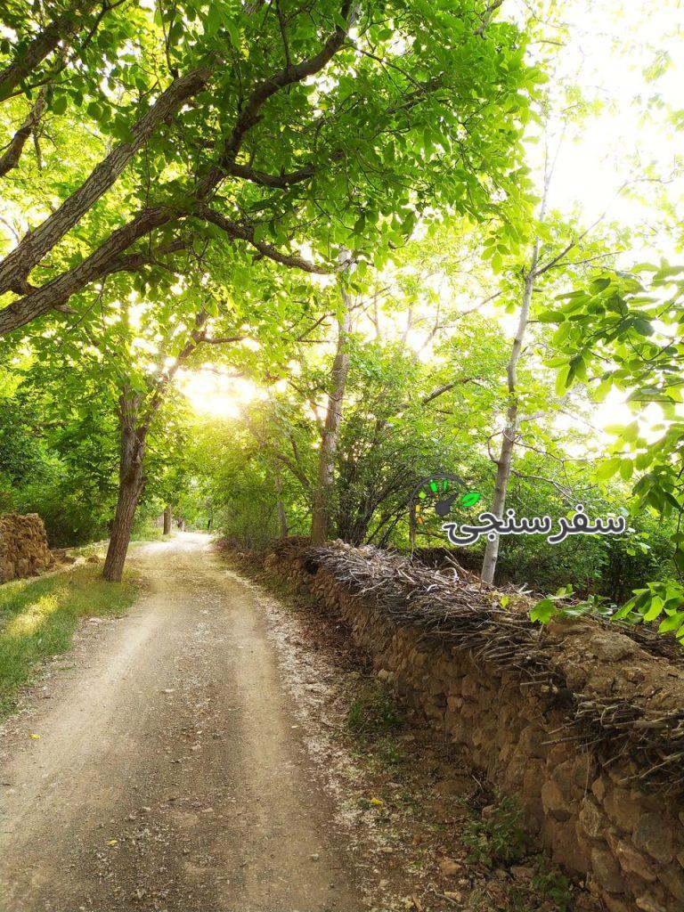 تور گشت و گذار در بوانات فارس