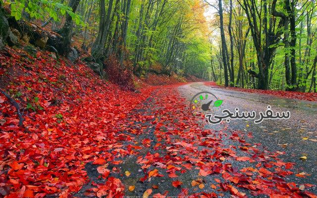 تور ریلی شمال از شیراز