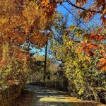 تور ترکیبی معماری و بارش شهابی