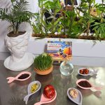 آژانس هواپیمایی و گردشگری سیمو سیتو سیر بوشهر