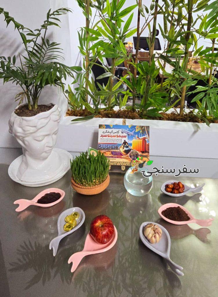 آژانس هواپیمایی و گردشگری سیمو سیتو سیر بوشهر