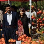 تور سلیمانیه_حلبجه (ویژه فستیوال انار حلبجه)