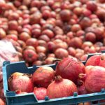 تور برداشت انار (عقدا یزد ) | 2 روزه