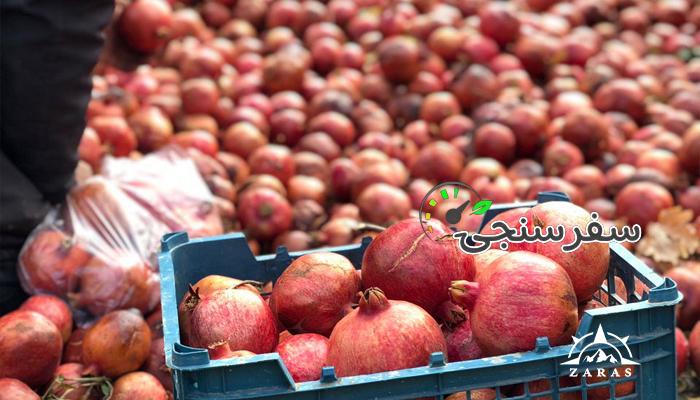 تور برداشت انار (عقدا یزد ) | 2 روزه