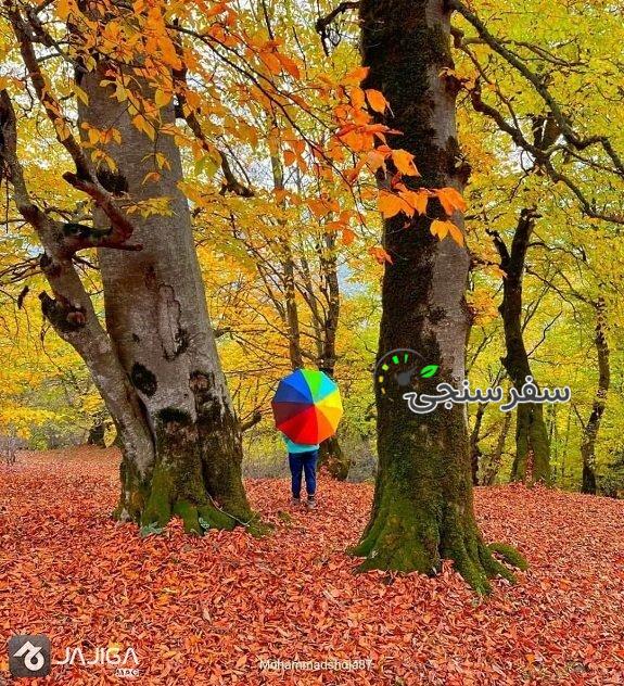 تور ریلی شمال از شیراز