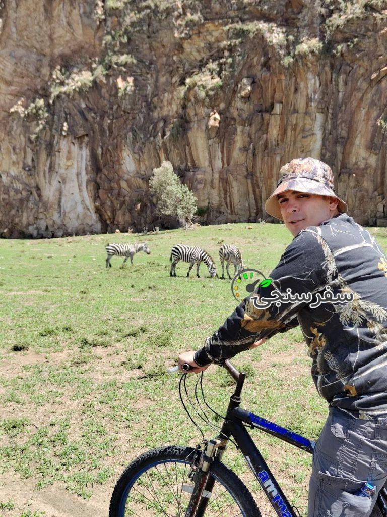 مشاور جهانگردی،ویزا،برنامه سفر در تهران