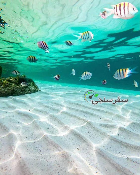 تور کمپینگ در جزیره گرت و لاوان