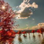 تور خاص ترین لوکیشن های پاییزی شمال