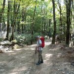 اجاره خودرو سواری با راننده در بهشهر مازندران