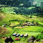 آرمین فرشته پور لیدر محلی سوها به لاتون