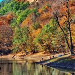 تور خاص ترین لوکیشن های پاییزی شمال