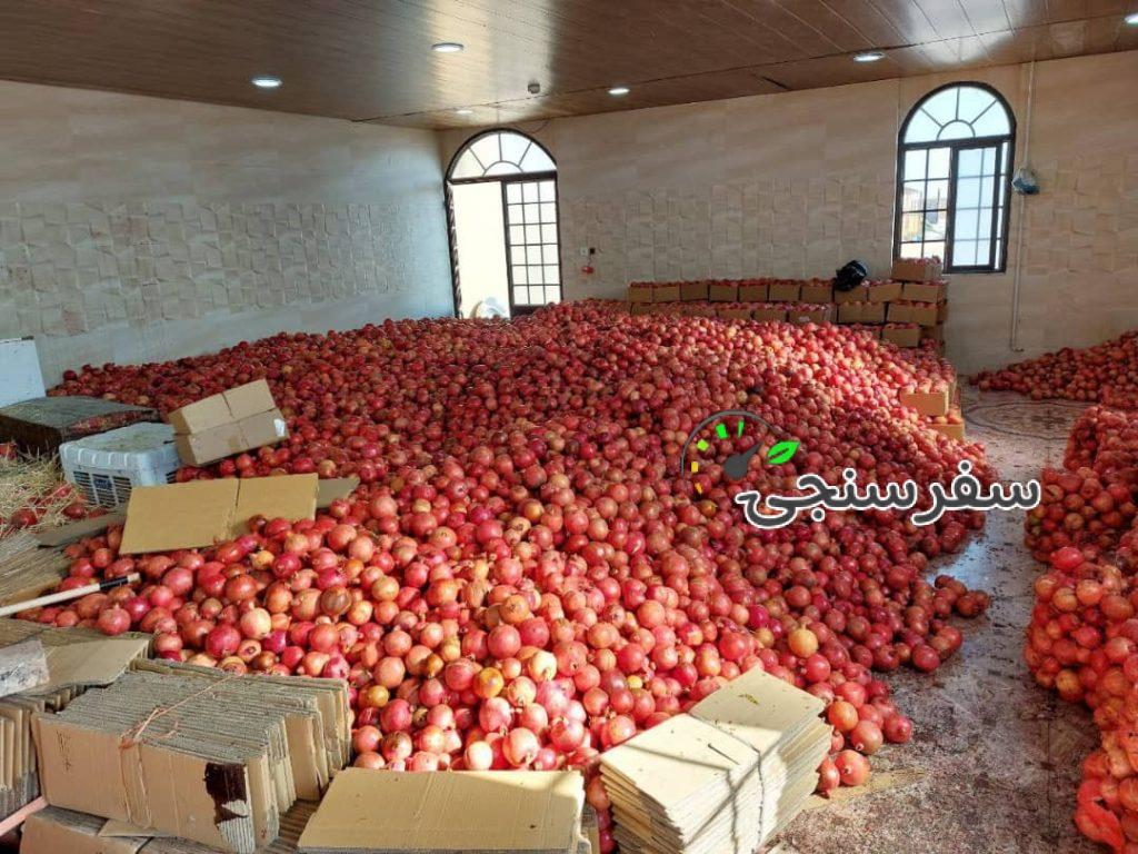 تور باغ انار و بازدید اماکن تاریخی ساوه