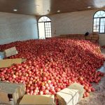 تور باغ انار و بازدید اماکن تاریخی ساوه