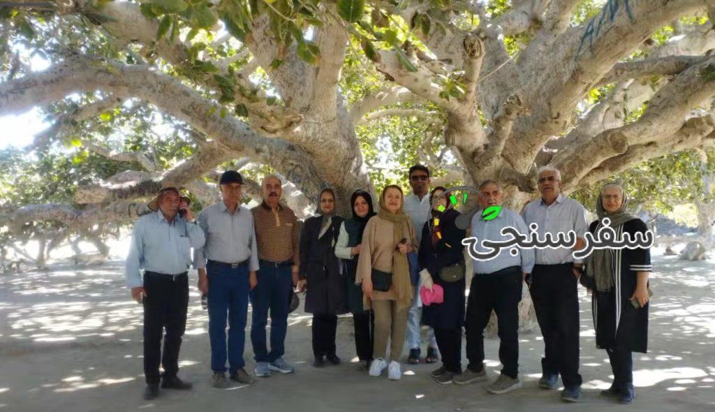 حمید بلوچ لیدر محلی چابهار با خودرو سورن پلاس+