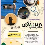 تور پرنده نگری، تالابگردی در گیلان