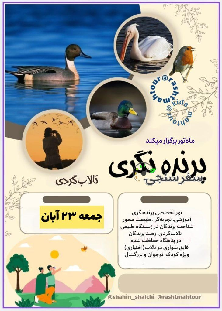 تور پرنده نگری، تالابگردی در گیلان