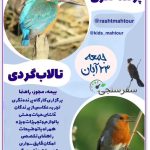 تور پرنده نگری، تالابگردی در گیلان