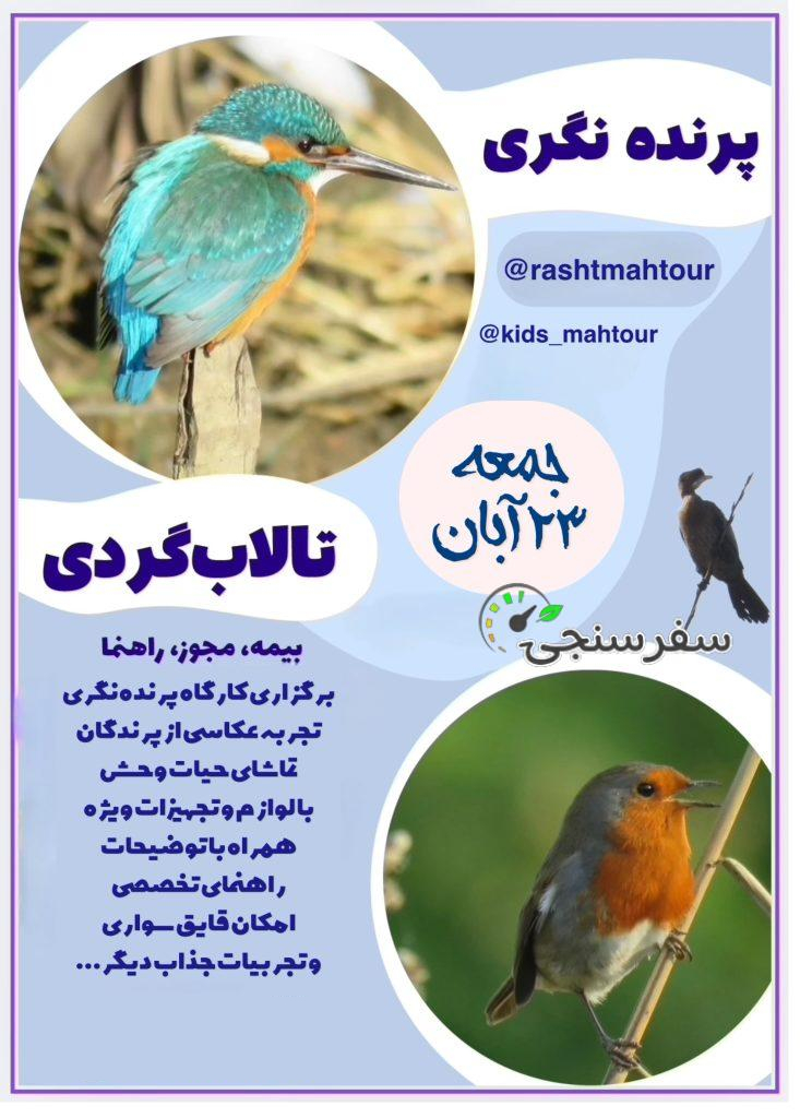 تور پرنده نگری، تالابگردی در گیلان