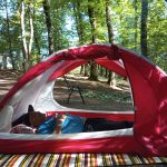 اجاره خودرو سواری با راننده در بهشهر مازندران