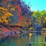 تور خاص ترین لوکیشن های پاییزی شمال