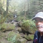 اجاره خودرو سواری با راننده در بهشهر مازندران