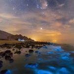 تورمنت ساحل تا ساحل خلیج فارس