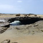 سعید محسن زاده لیدر محلی چابهار