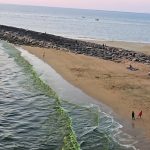 محمد رضا زومکزهی اصل لیدر محلی چابهار هستم