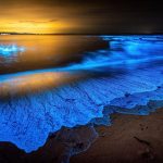 برکت سازواری لیدر محلی چابهار