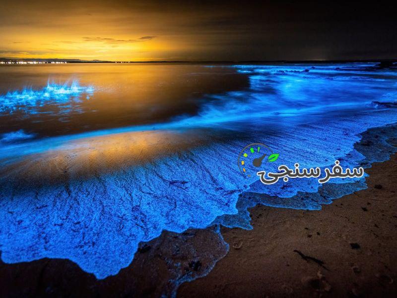 برکت سازواری لیدر محلی چابهار