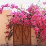 اقامتگاه بومگردی هرمز در استان هرمزگان/