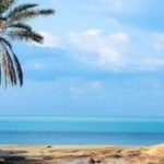 تورمنت ساحل تا ساحل خلیج فارس