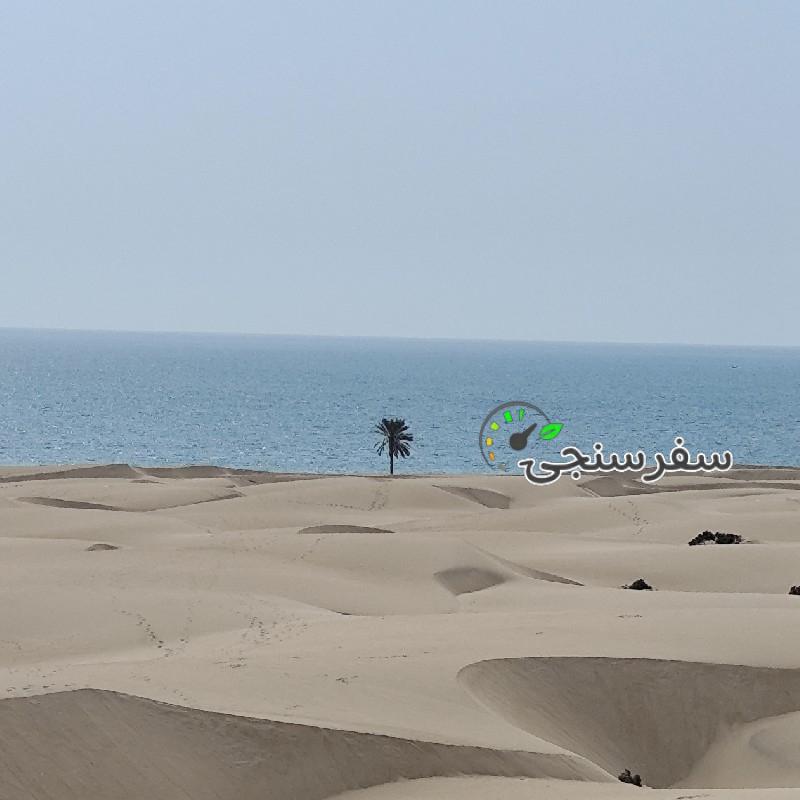 سعید محسن زاده لیدر محلی چابهار