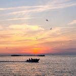 سعید مرادی تورلیدر رسمی و بین‌المللی بوشهر