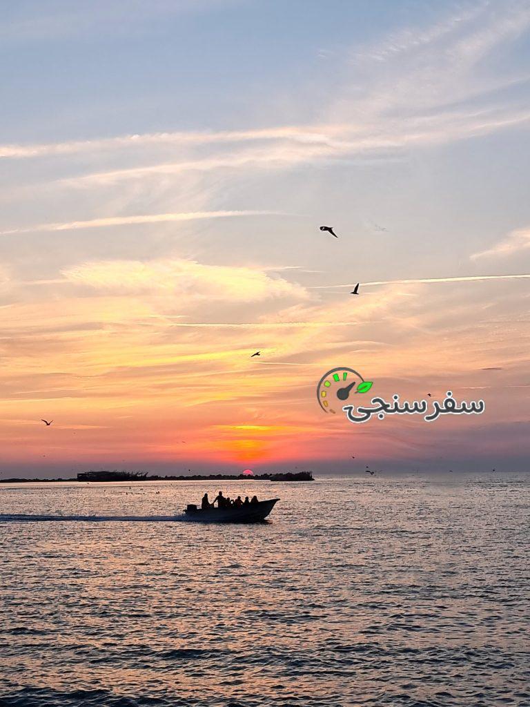 سعید مرادی تورلیدر رسمی و بینالمللی بوشهر