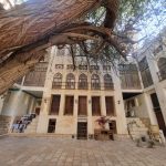 سعید مرادی تورلیدر رسمی و بین‌المللی بوشهر