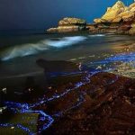 تور محلی با ناخدا عادل زبرجد از چابهار تا بندر تنگ