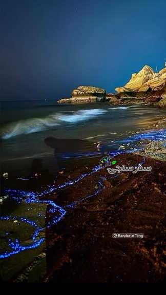 تور محلی با ناخدا عادل زبرجد از چابهار تا بندر تنگ