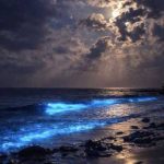 تور محلی با ناخدا عادل زبرجد از چابهار تا بندر تنگ