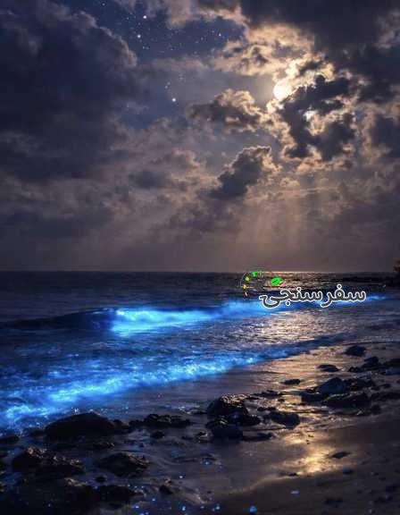 تور محلی با ناخدا عادل زبرجد از چابهار تا بندر تنگ